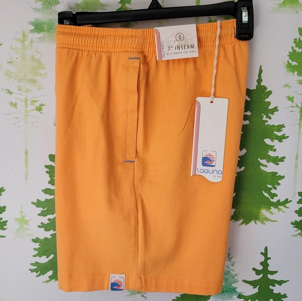 Laguna Stretch Shorts.